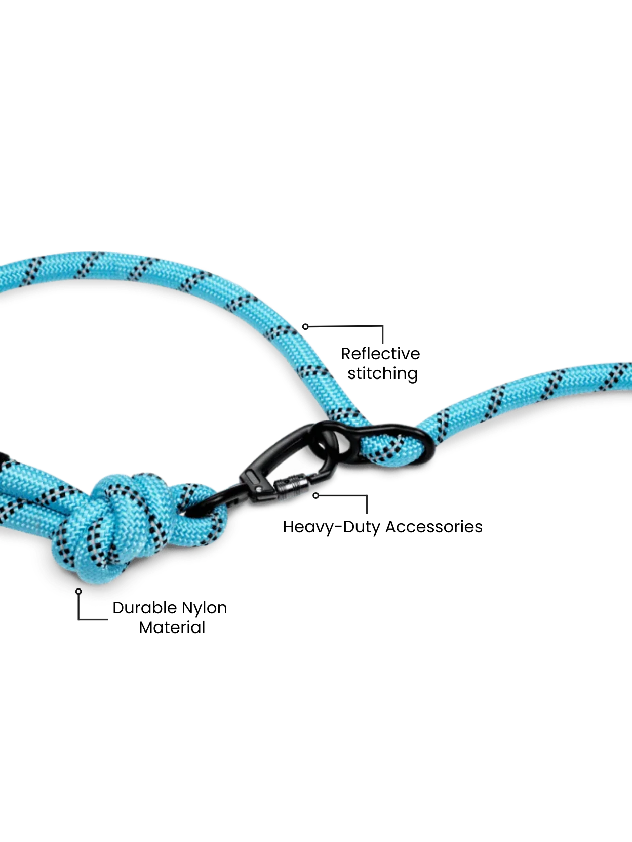 Aqua Blue Runners Hands-Free Dog Leash - Image 8