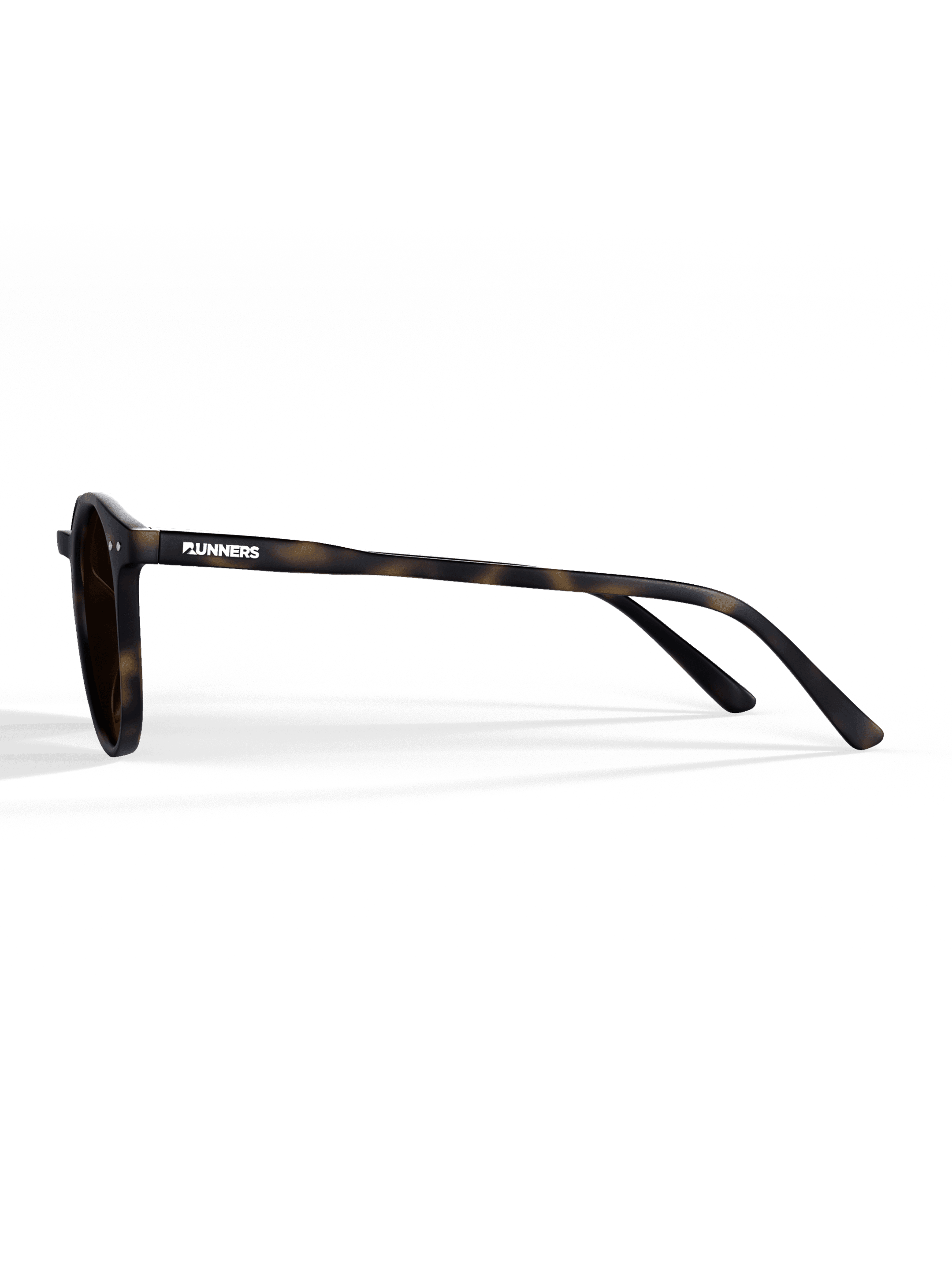 Tortoise Round - Image 3