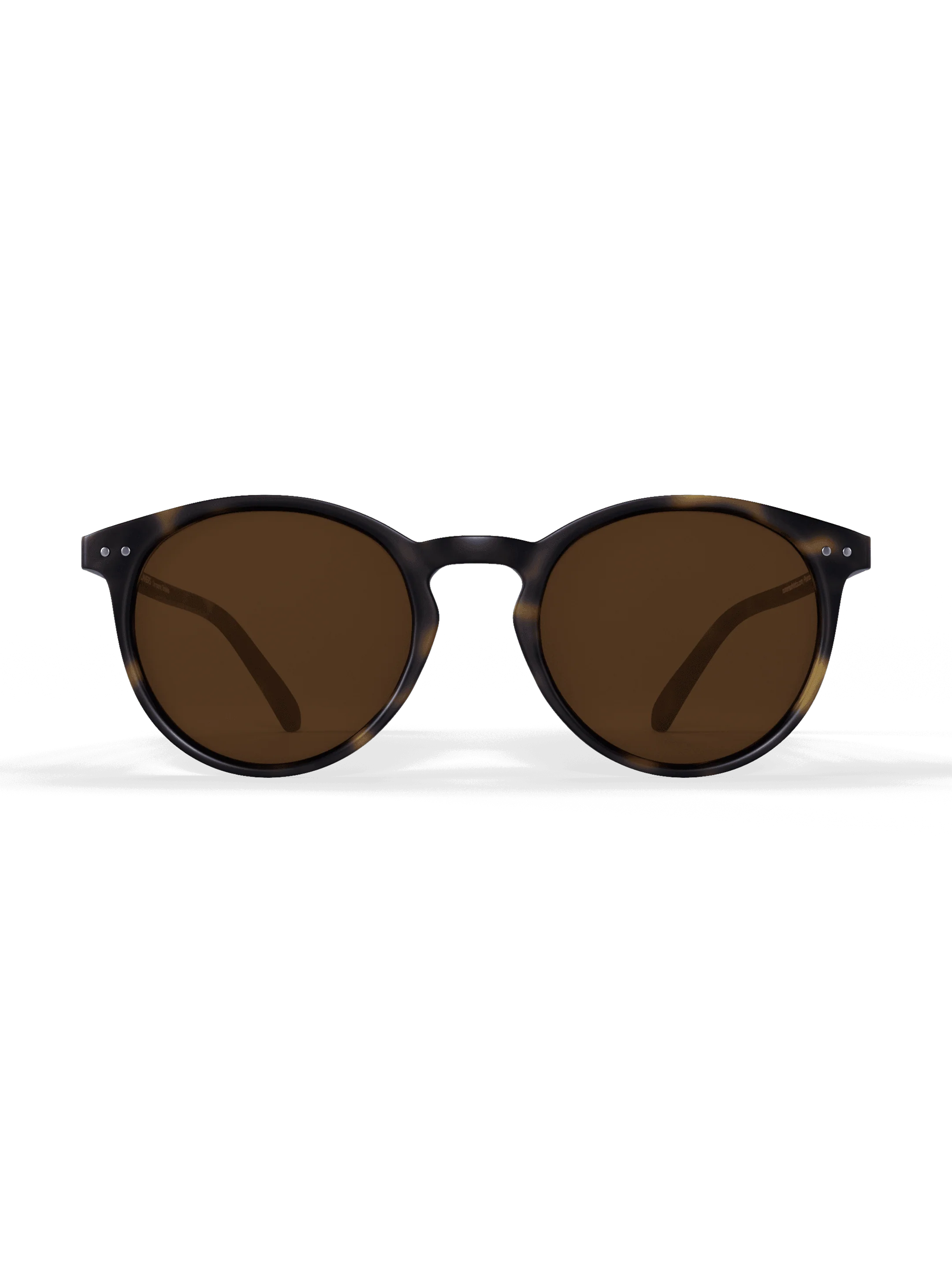 Tortoise Round - Image 5