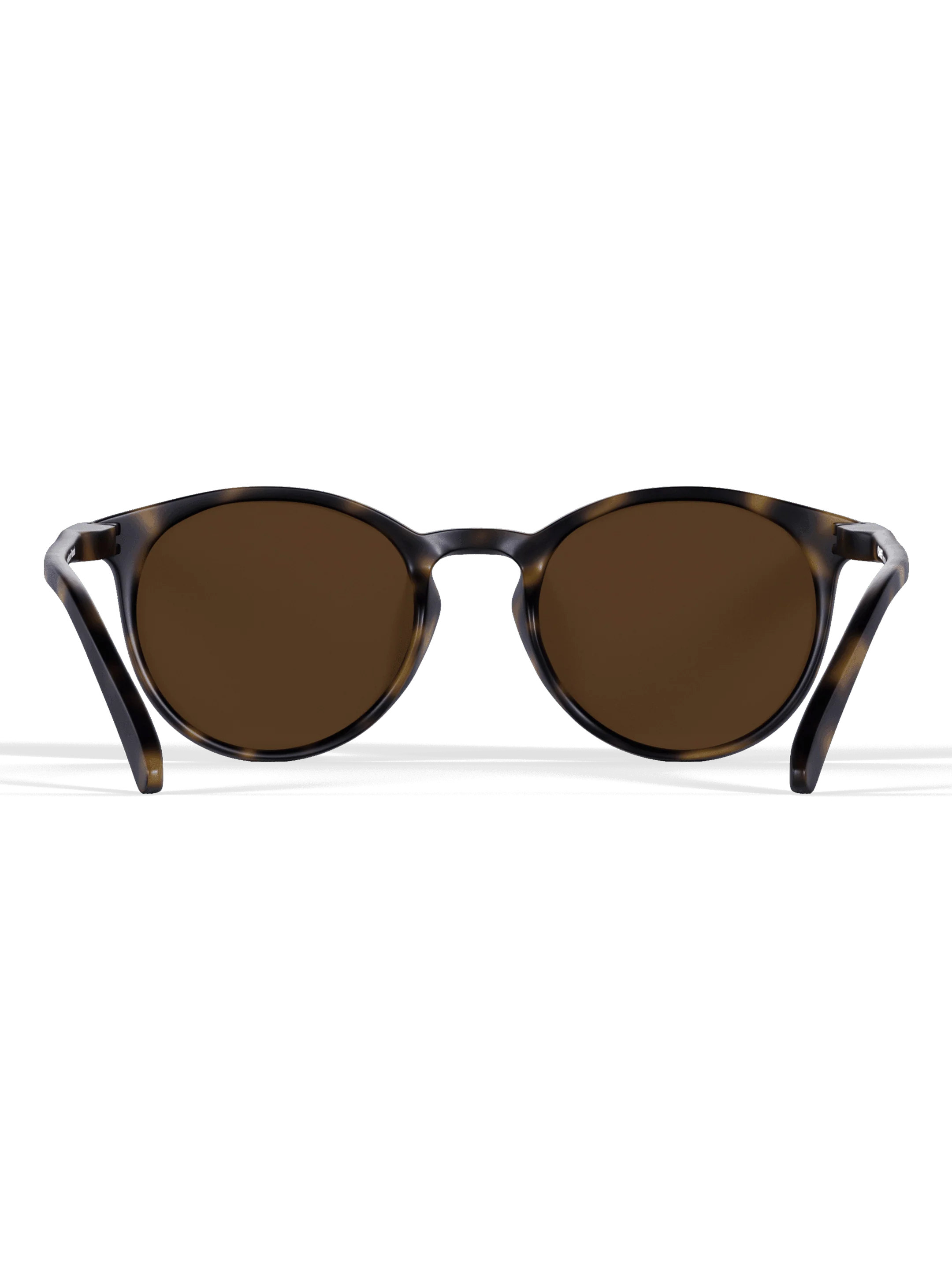 Tortoise Round - Image 6