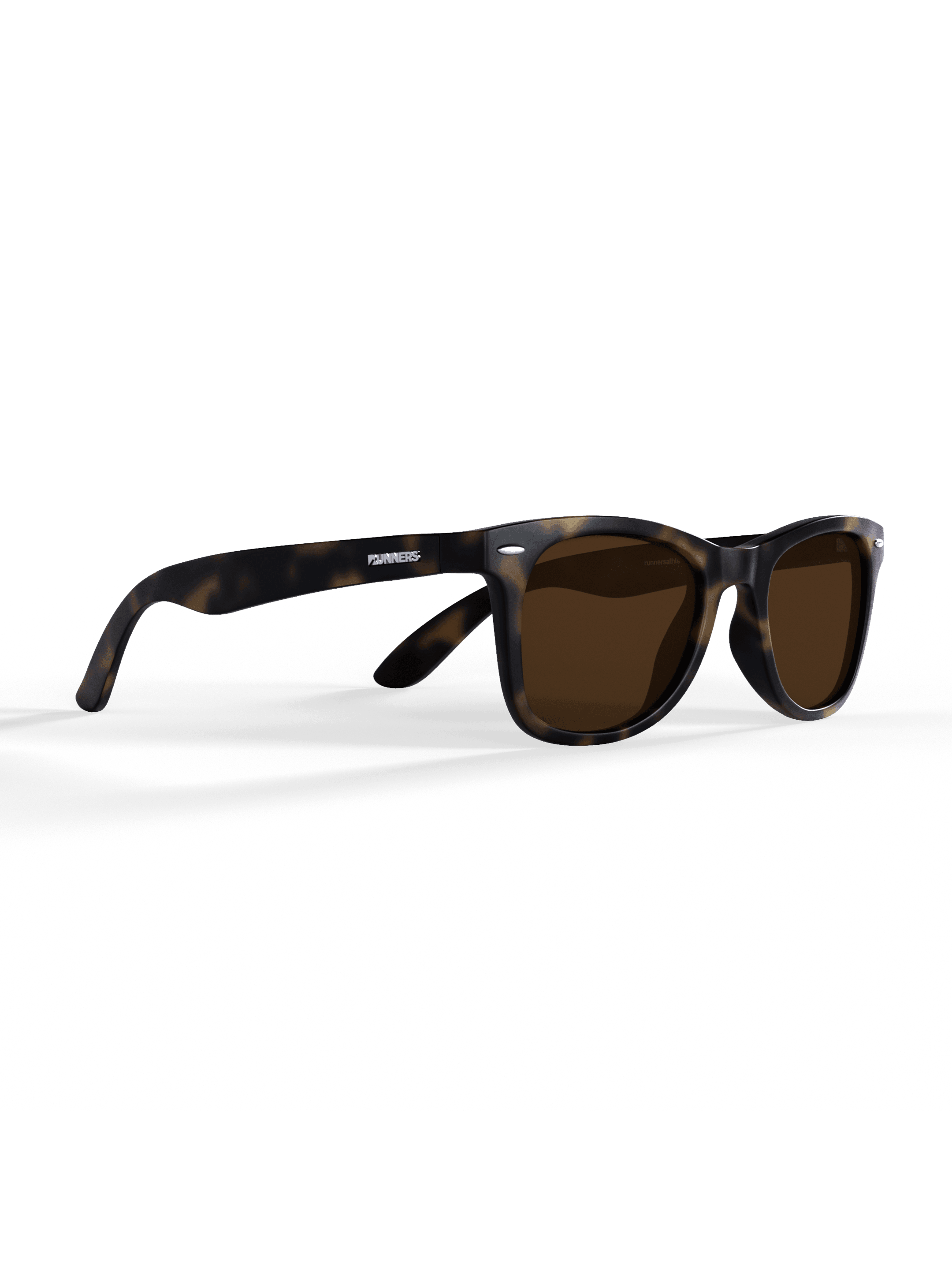 Tortoise Sprinters - Image 4