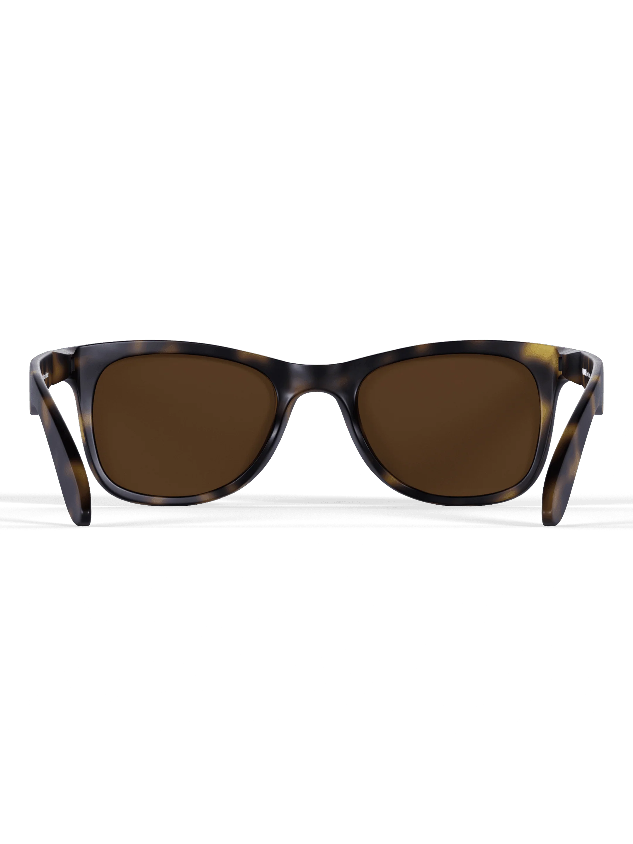 Tortoise Sprinters - Image 6